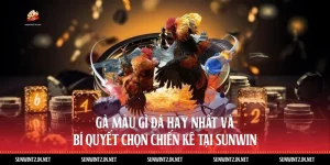 Gà Màu Gì Đá Hay Nhất Và Bí Quyết Chọn Chiến Kê Tại Sunwin