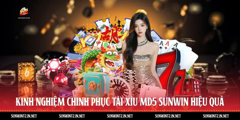 Kinh Nghiệm Chinh Phục Tài Xỉu MD5 Sunwin Hiệu Quả