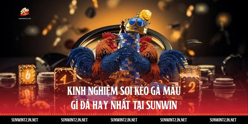 Kinh nghiệm soi kèo gà màu gì đá hay nhất tại Sunwin