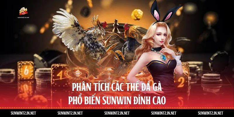 Phân Tích Các Thế Đá Gà Phổ Biến Sunwin Đỉnh Cao