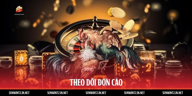 Theo dõi đòn cáo