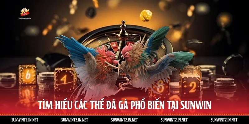 Tìm Hiểu Các Thế Đá Gà Phổ Biến Tại Sunwin